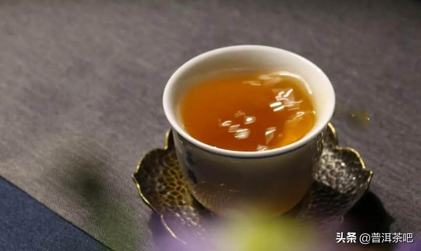 「干货分享」详解野生茶和野放茶的区别和联系