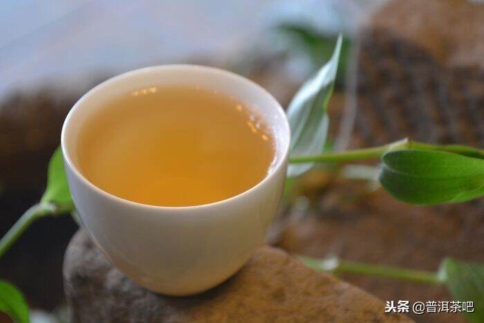 「刀哥说茶」普洱茶有两大核心价值：越陈越香和天然生态