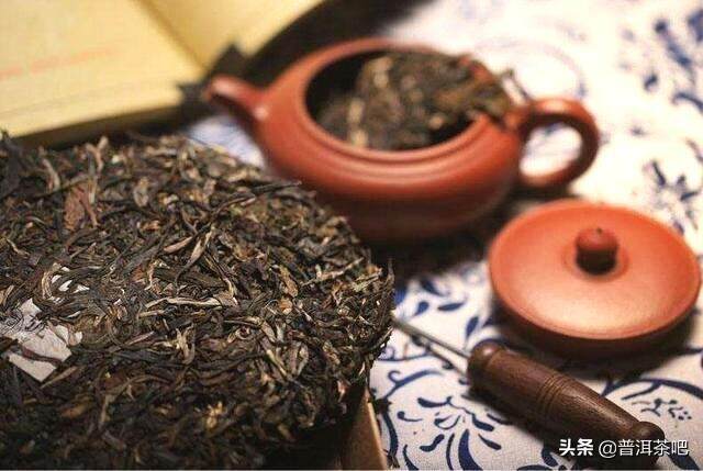何仕华：普洱茶保存需要有流通的空气