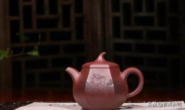 「干货分享」用紫砂壶泡普洱茶该如何选择？