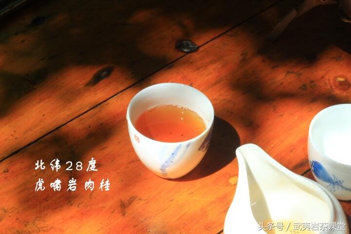 武夷岩茶十大养生功能晓得了吗？