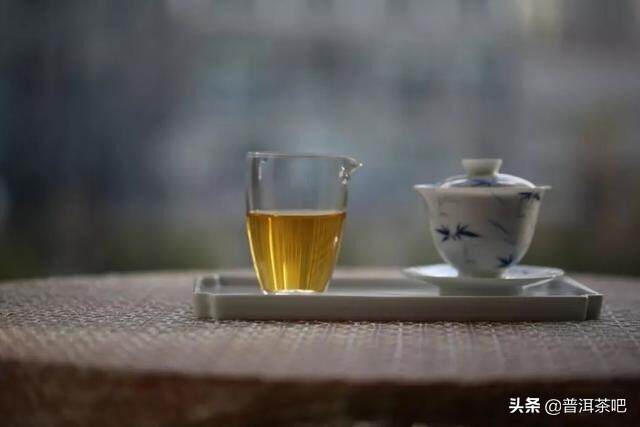 「干货分享」根据叶片就能分辨古树茶和台地茶吗？