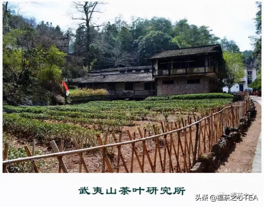 中国第一个茶叶科学研究所——武夷山茶科所