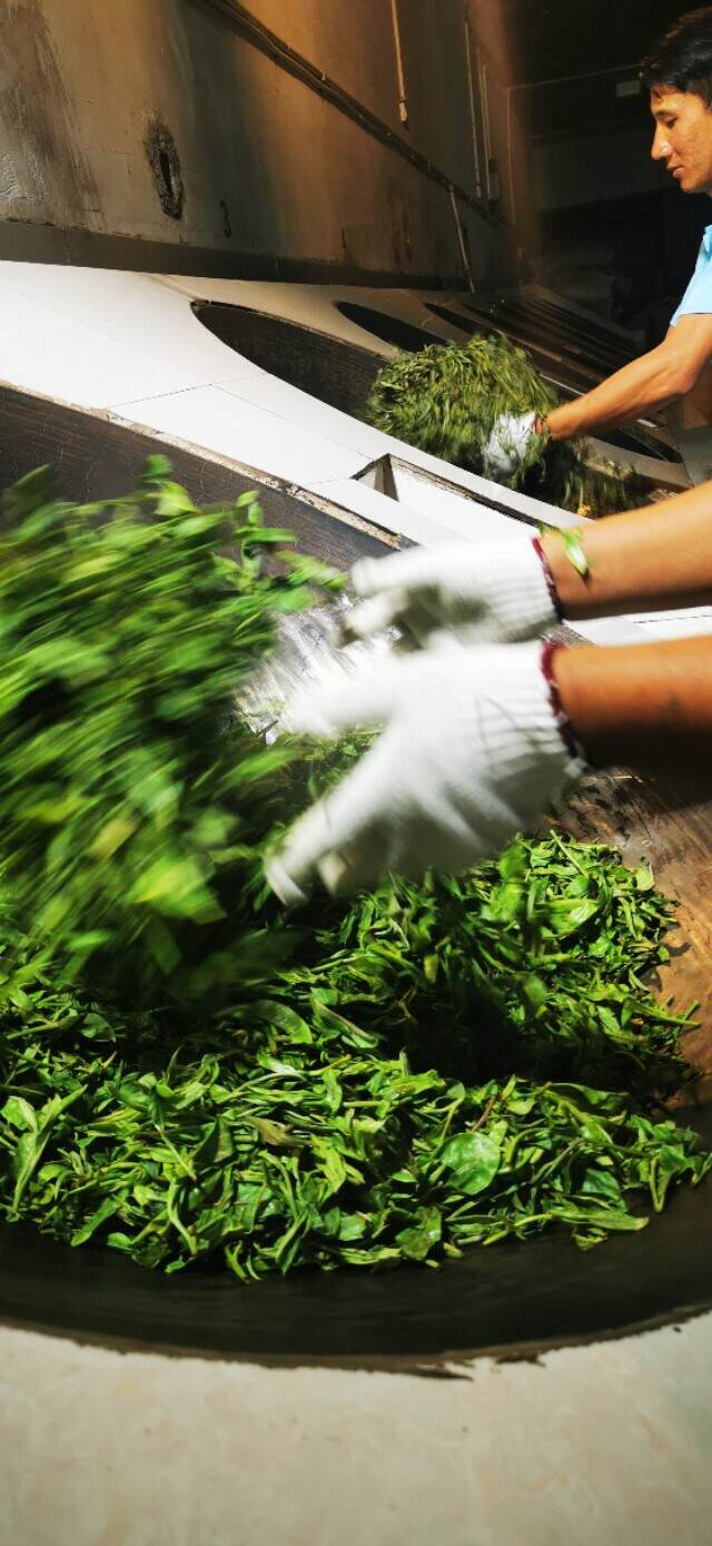 古树茶是普洱茶的珍贵资源。是普洱茶深厚历史和优越生态的象征。