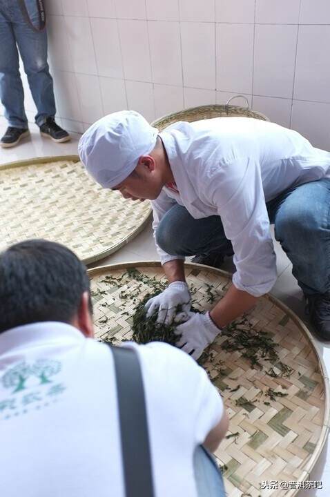 从云南岩茶生产基地解读普洱茶传统晒青工艺的秘密