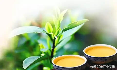 过去6个月，淘系平台（淘宝、天猫等）茶叶销售变化趋势
