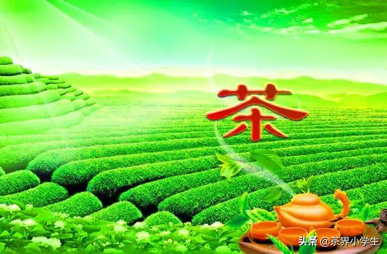 2019上半年，上市茶企盈利指标同比有啥变化？丽宫食品营收增111%