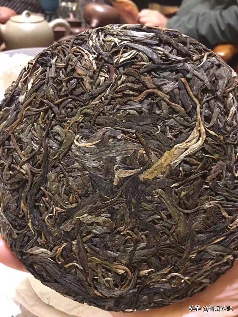 茶图丨易武落水洞的茶树与茶汤