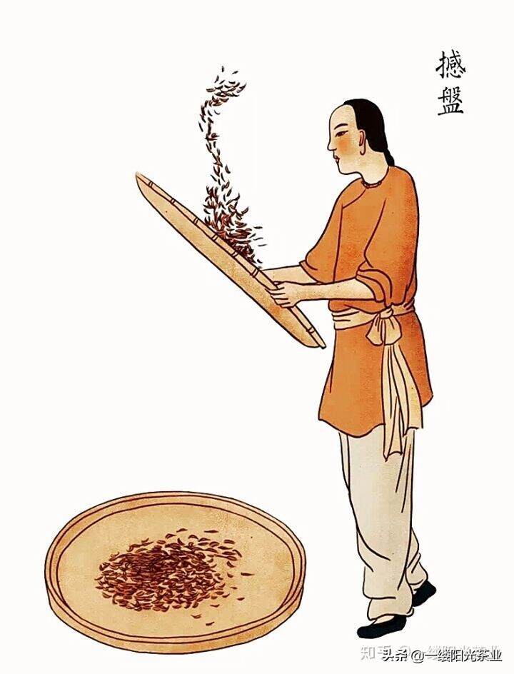 精致手绘，祁门红茶传统手工制作流程图