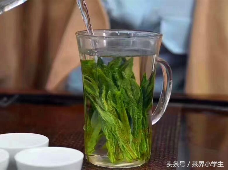早春绿茶—安徽太平猴魁、四川蒙顶甘露、浙江西湖龙井，想喝吗？