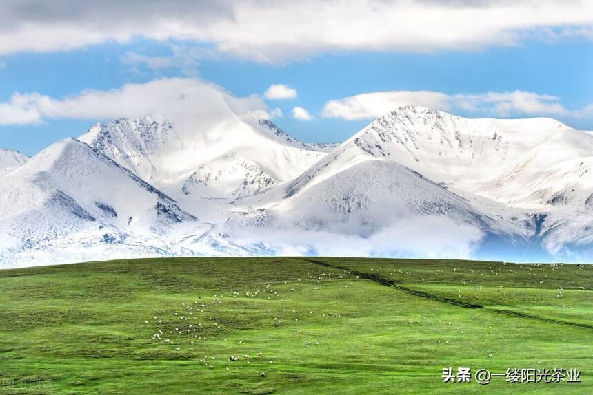 新疆：不止有棉花，还有这条最美公路值得去
