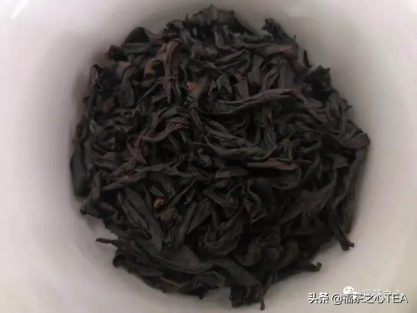 福建之茶 | 清代福建茶叶的种植与分布