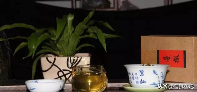 「干货分享」晒青工艺对普洱茶的影响