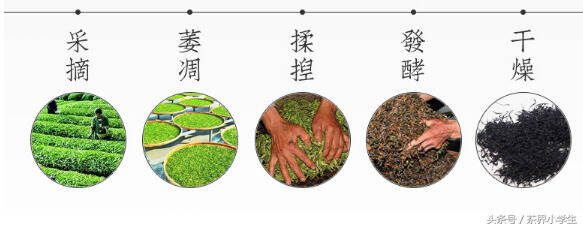 红茶产地（14）——陕西汉中（代表茶：汉中红茶）