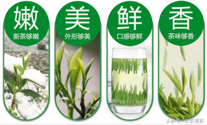 茶中珍品50——贵州湄潭翠芽（名优扁形绿茶，特点为嫩美鲜香）