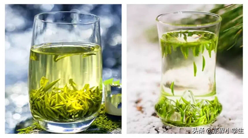 小罐茶和竹叶青，哪家茶企的品牌声量更大？