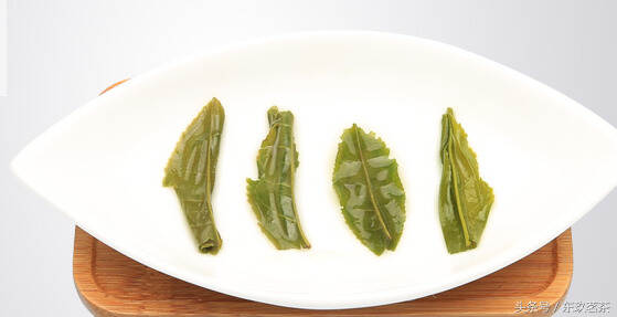 茶中珍品34——六安瓜片（国家地理标志保护产品，温润型绿茶）
