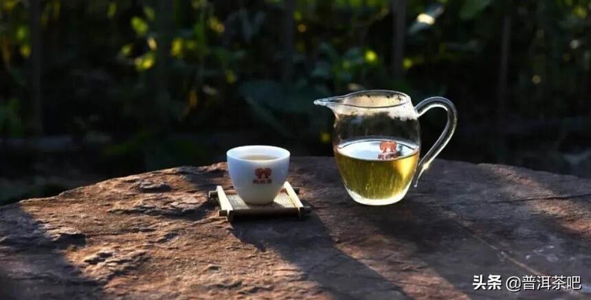 「高性价比口粮茶」彩农茶｜2020年春勐海小饼普洱茶生茶