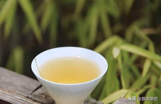 「干货分享」布朗山茶区曼新竜的古茶树资源