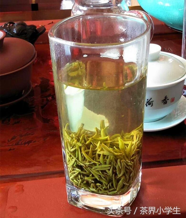 春茶来了哟（4）—江西修水双井绿茶（名优绿茶，宋朝时为贡茶）
