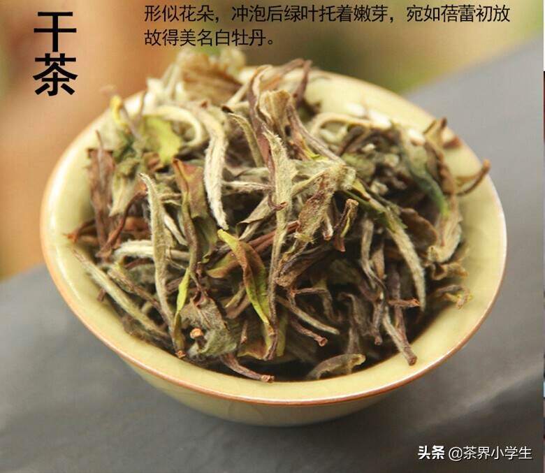 电视剧《老中医》热播：冯远征说的三十年老白茶，你想尝尝吗？