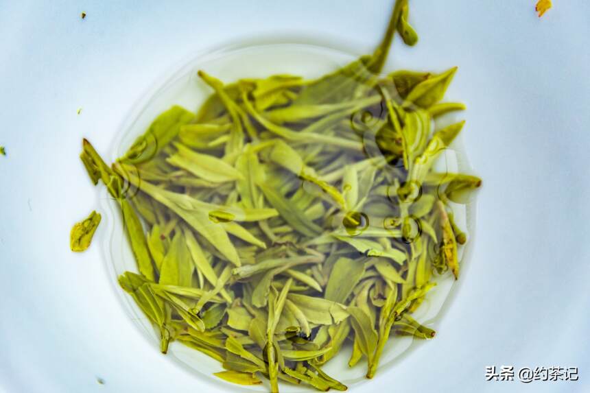 喝绿茶的好处有哪些？怎么鉴别和保存绿茶？