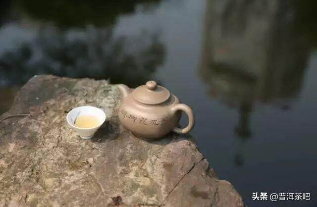 5000元/斤的茶为何沦为50元/斤？