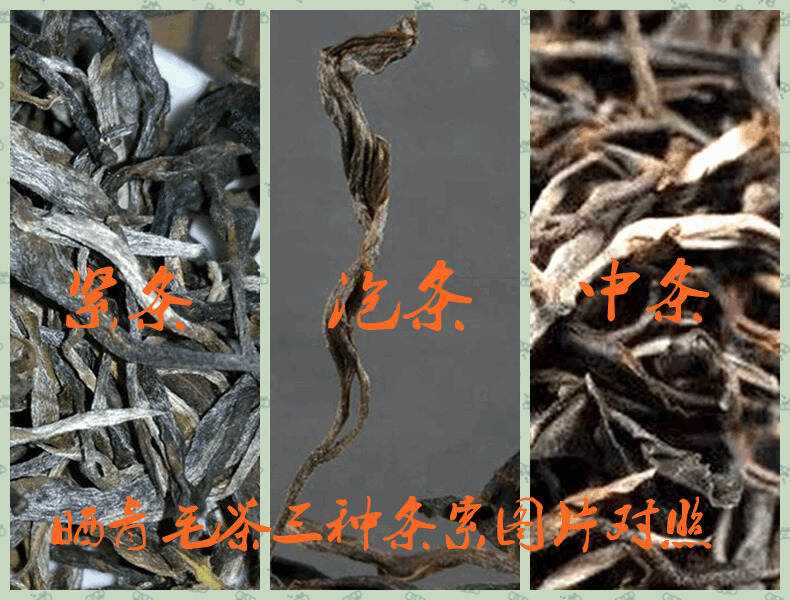 【入门干货】能否从干茶的外形特征辨别普洱茶的优劣？