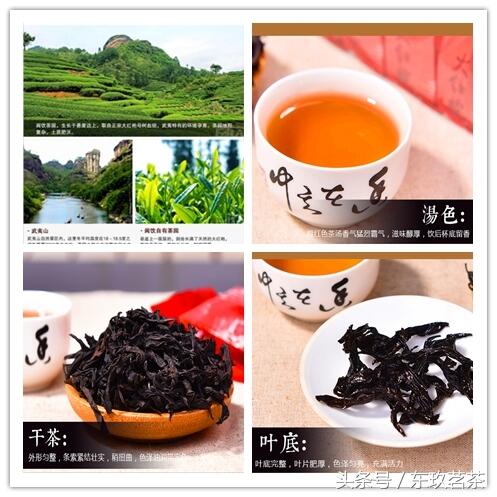 六大茶类——常见名优乌龙茶（青茶）