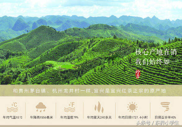 红茶产地（16）——江苏宜红（代表茶：宜兴红茶）