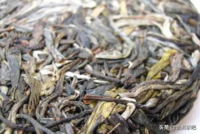普洱茶的魔力是什么？为什么喝了普洱茶会觉得其他茶没味？