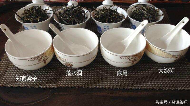 易武正山的四款代表茶开汤品鉴
