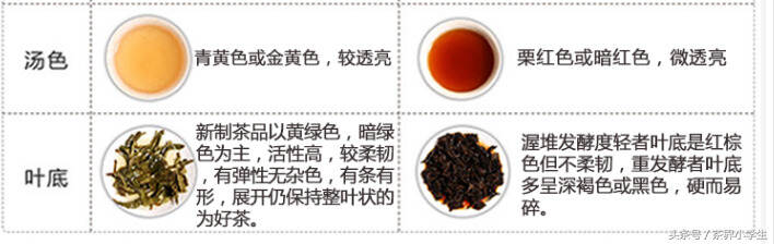 普洱茶选购（2）——普洱生茶和普洱熟茶