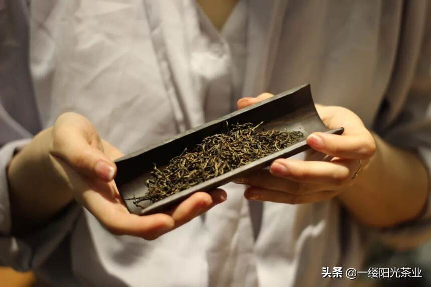 武夷文化：千古武夷品春茶，欲分余润散儒家