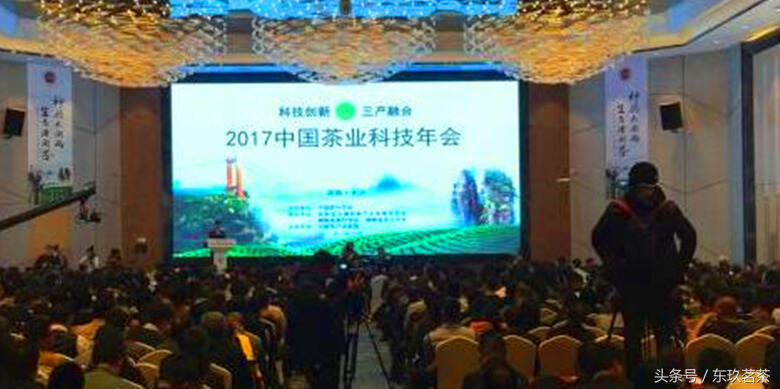2017中国茶叶科技年会开幕，干货速递！