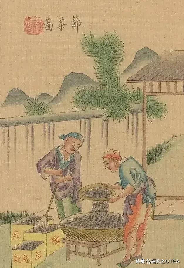 茶景全图 | 传统制茶工艺流程图（甲子年版）