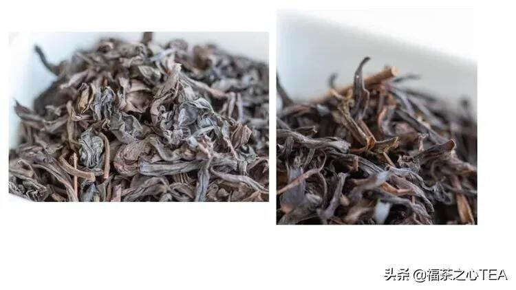 乌龙茶的老茶很珍贵，遇到也很难 │ 记2008年真枞水仙