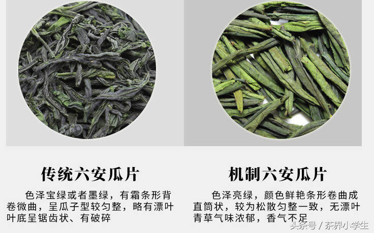 中国十大名茶（5）——六安瓜片（产自安徽六安，绿茶类）