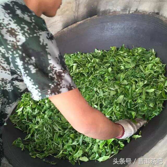 山上茶农告诉你：今年的古树茶为什么那么贵？