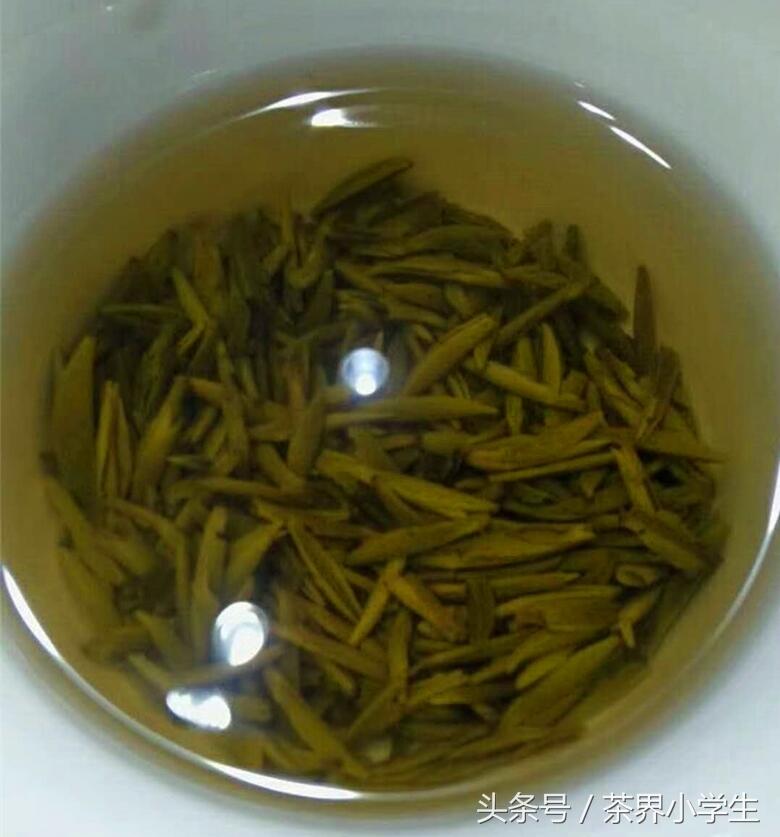 制茶大师强哥——受邀参加成都采茶节手工制茶比赛，角逐“茶王”