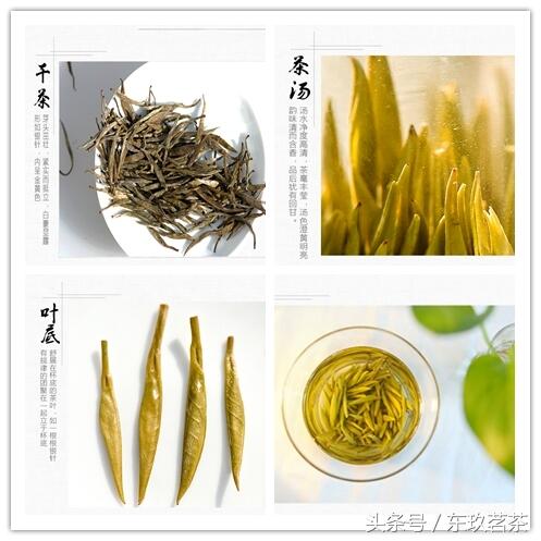 典型黄茶冲泡茶艺——君山银针