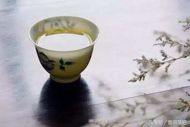 余秋雨：普洱茶是“举世独有的三项文化”之一