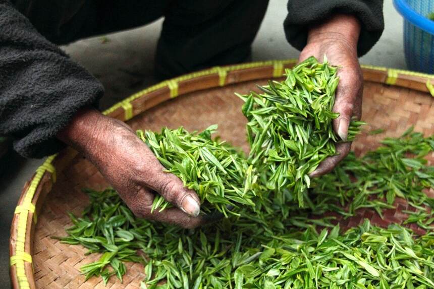 在茶叶遍地的地方，茶商是怎么赚钱的？