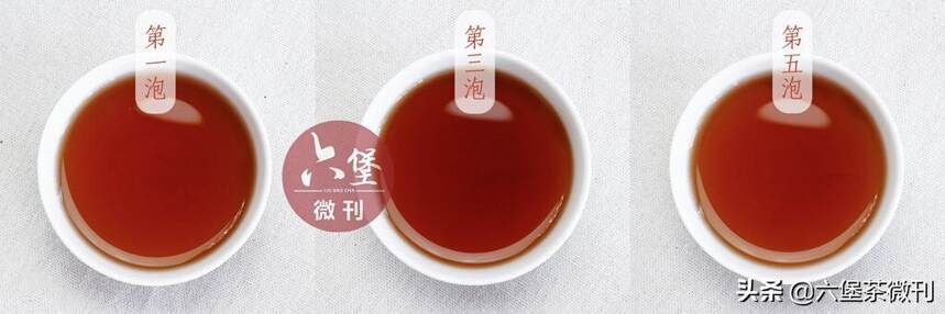 为何最近很多茶友喜欢这款口感甜糯的金花六堡茶？