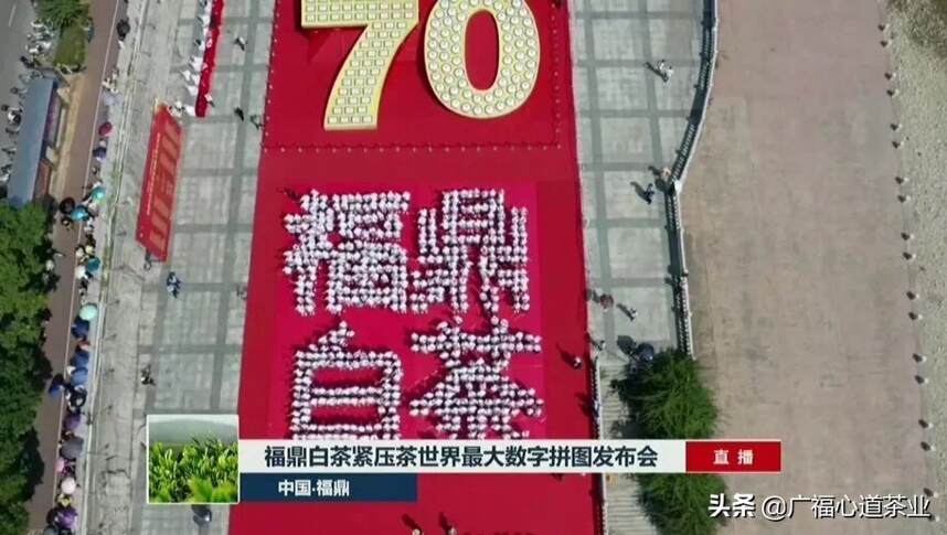 广福集团贺国庆：世界最大数字拼图发布破吉尼斯纪录！|心动态