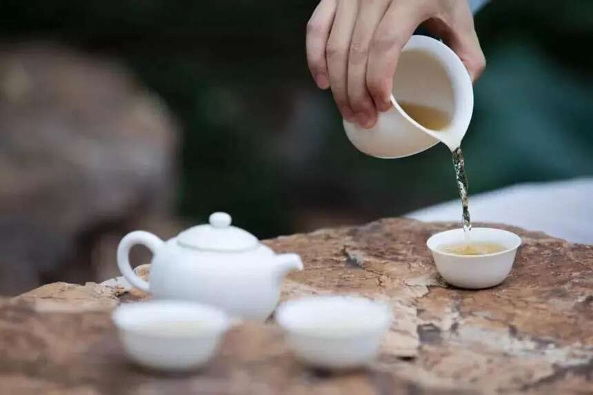 白茶学堂：3个适合喝茶的时段，教你一天品尽白茶全等级