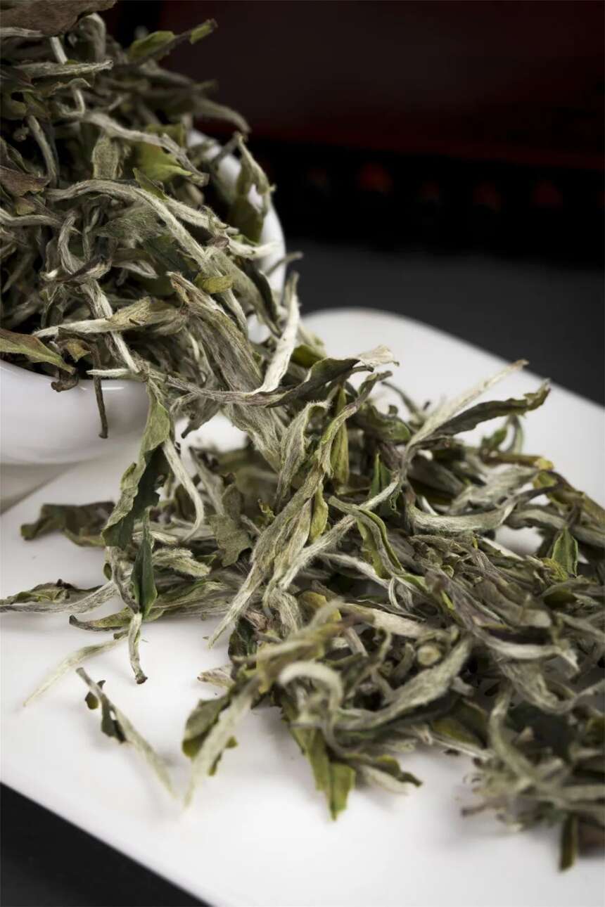 关于中国的香型茶，你知道多少？