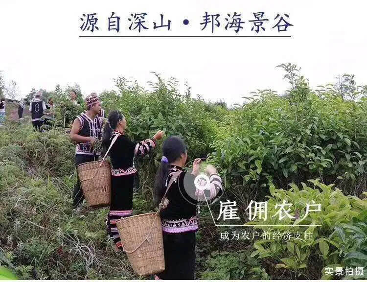 茗企担当，邦海茶业“一亩地认购计划”扶贫助农