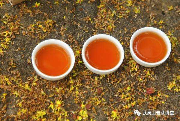 「岩茶讲堂」茶是金庸里的江湖，“水仙”侠之大者，举世无双