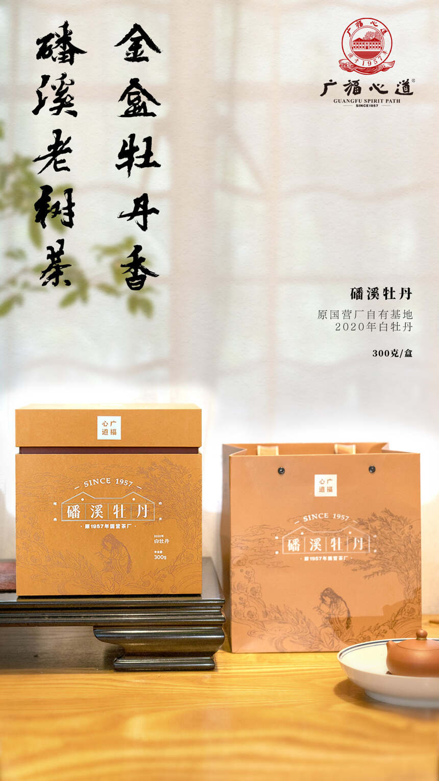 磻溪银针、磻溪牡丹：黄金产区高品质，老茶新芽争鲜甜